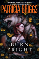 book cover for Burn Bright