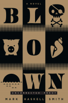 book cover for Blown