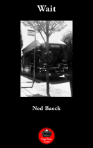 book cover for Wait