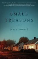book cover for Small Treasons