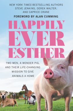 book cover for Happily Ever Esther