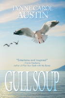 book cover for Gull Soup
