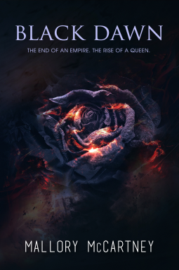 book cover for Black Dawn