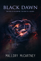 book cover for Black Dawn