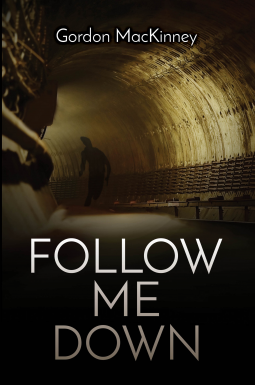 book cover for Follow Me Down