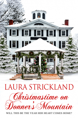 book cover for Christmastime on Donner's Mountain