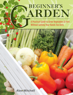 book cover for Beginner's Garden