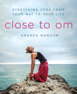 book cover for Close to Om
