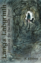book cover for Lang's Labyrinth