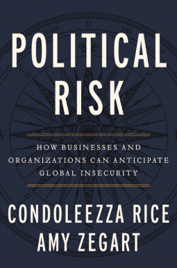 book cover for Political Risk