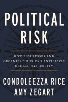 book cover for Political Risk