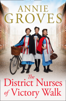 book cover for The District Nurses of Victory Walk
