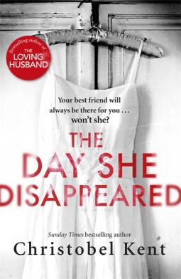 book cover for The Day She Disappeared
