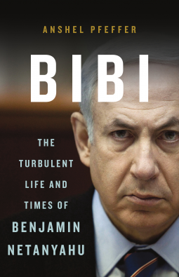 book cover for Bibi