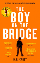 book cover for The Boy on the Bridge
