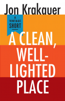 book cover for A Clean, Well-Lighted Place