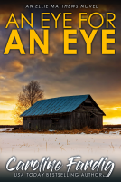 book cover for An Eye for an Eye