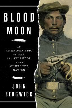 book cover for Blood Moon