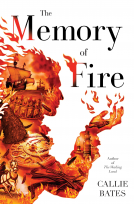 book cover for The Memory of Fire