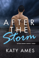 book cover for After the Storm