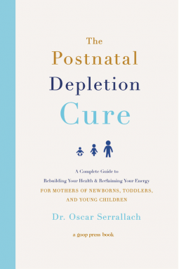book cover for The Postnatal Depletion Cure