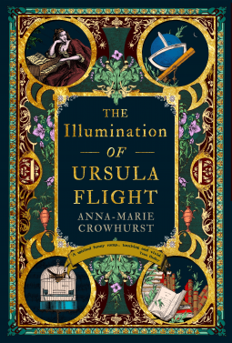 book cover for The Illumination of Ursula Flight