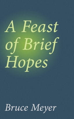 book cover for A Feast of Brief Hopes