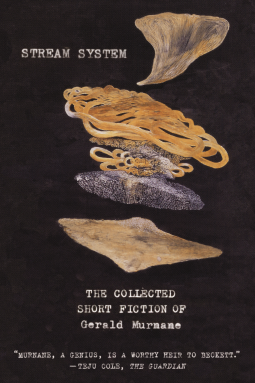 book cover for Stream System