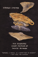 book cover for Stream System