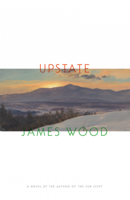 book cover for Upstate