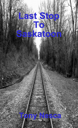 book cover for Last Stop To Saskatoon
