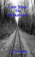 book cover for Last Stop To Saskatoon