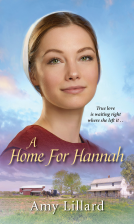book cover for A Home for Hannah
