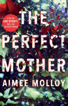 book cover for The Perfect Mother