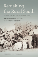book cover for Remaking the Rural South