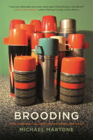 book cover for Brooding
