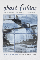 book cover for Ghost Fishing