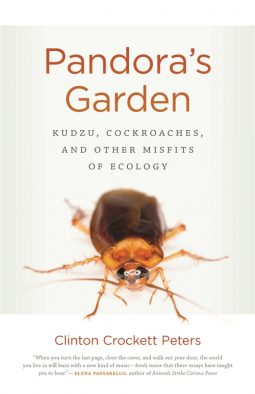 book cover for Pandora's Garden