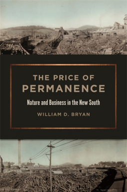 book cover for The Price of Permanence