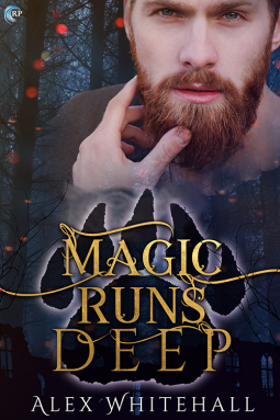 book cover for Magic Runs Deep
