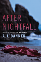 book cover for After Nightfall