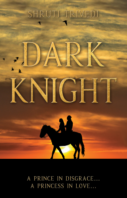 book cover for Dark Knight