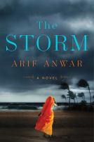 book cover for The Storm