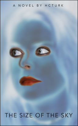 book cover for The Size Of The Sky