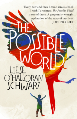 book cover for The Possible World