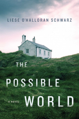 book cover for The Possible World