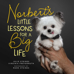 book cover for Norbert's Little Lessons for a Big Life