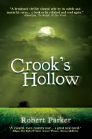 book cover for Crook's Hollow
