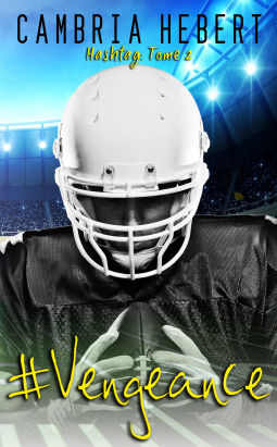 Couverture du livre pour #Vengeance