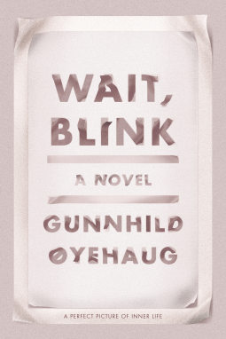 book cover for Wait, Blink